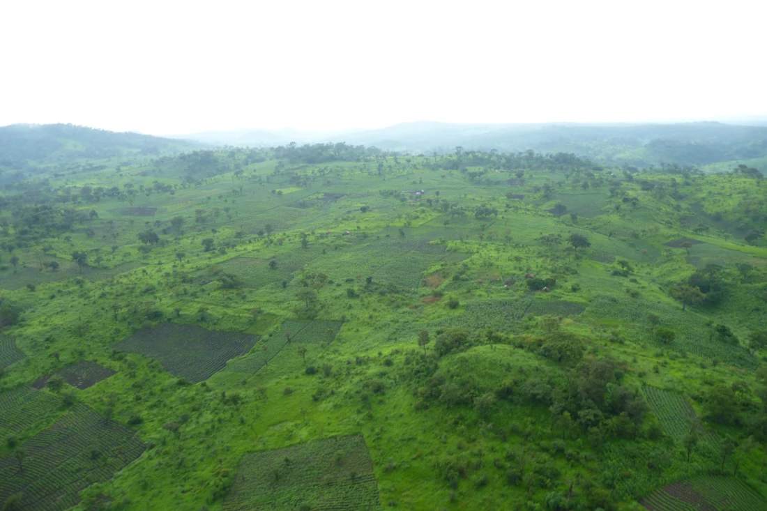 Collines verdoyantes du Katanga pendant la saison des pluies.